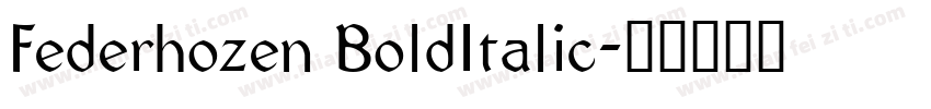 Federhozen BoldItalic字体转换